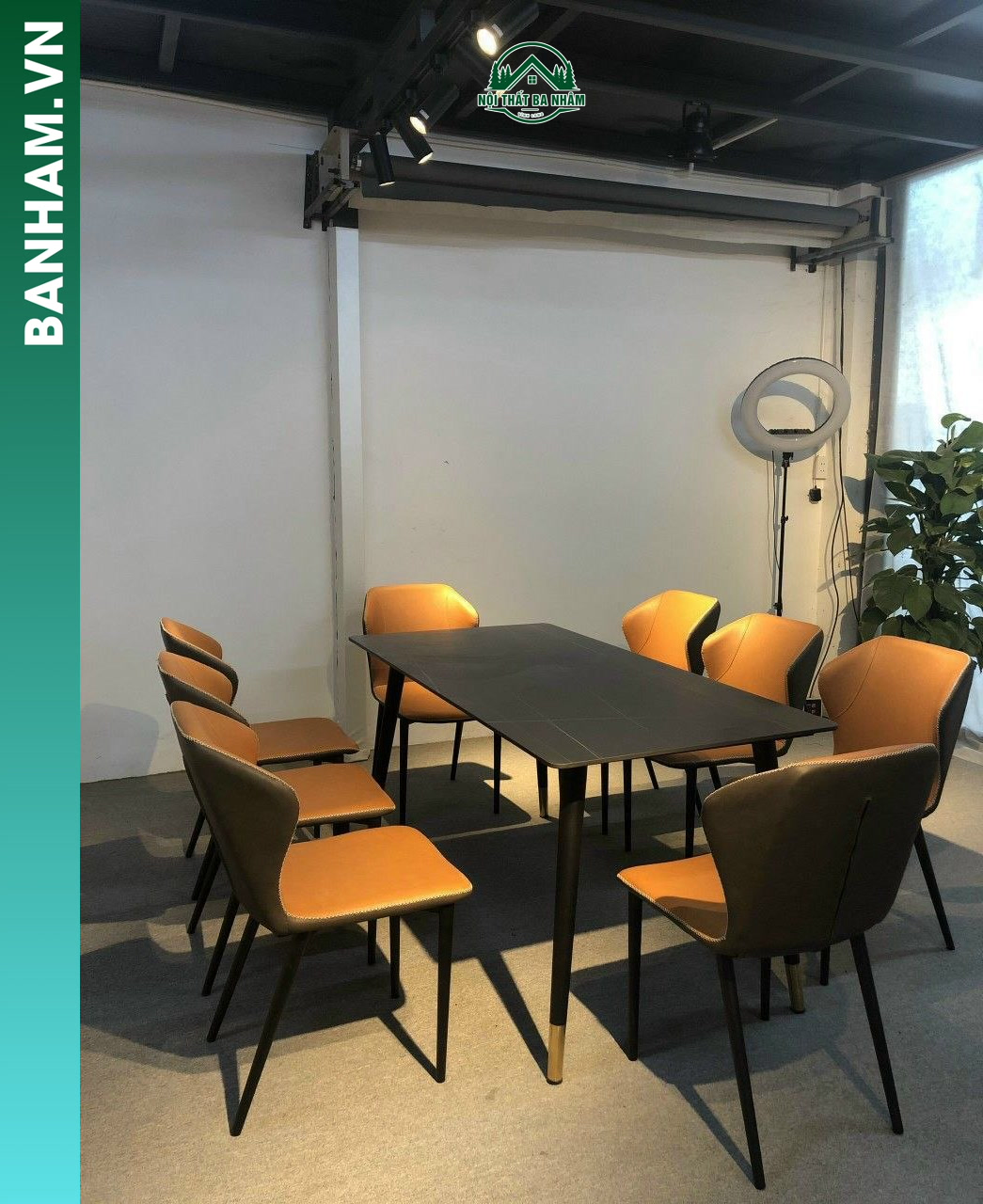 Bộ bàn ăn 8 ghế hiện đại chân sắt Bến Tre